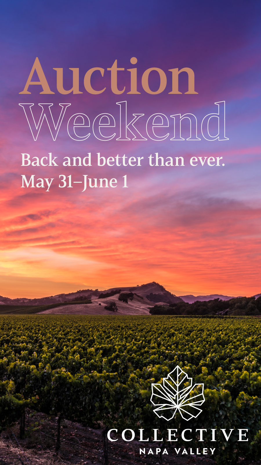 Auction Weekend Promotional Toolkit · Collective Napa Valley